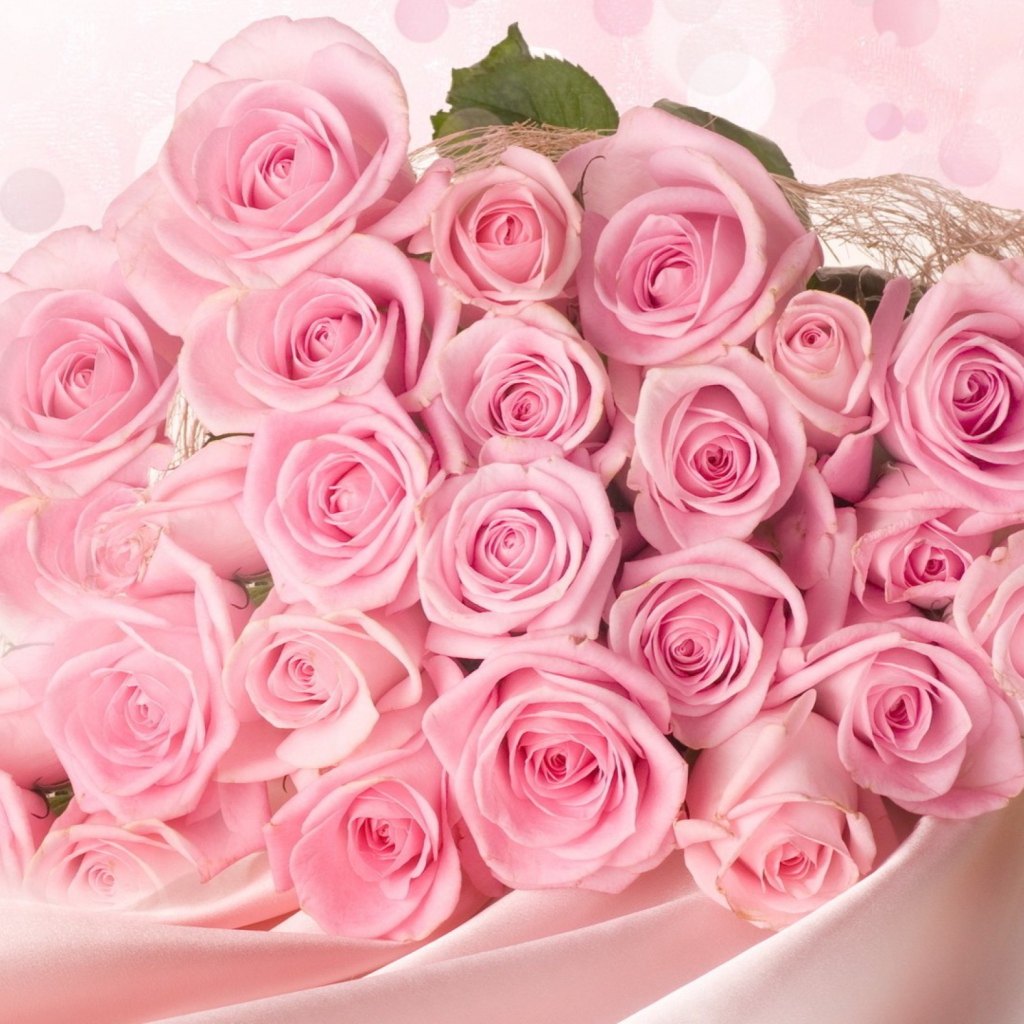 Sfondi Pink Roses 1024x1024