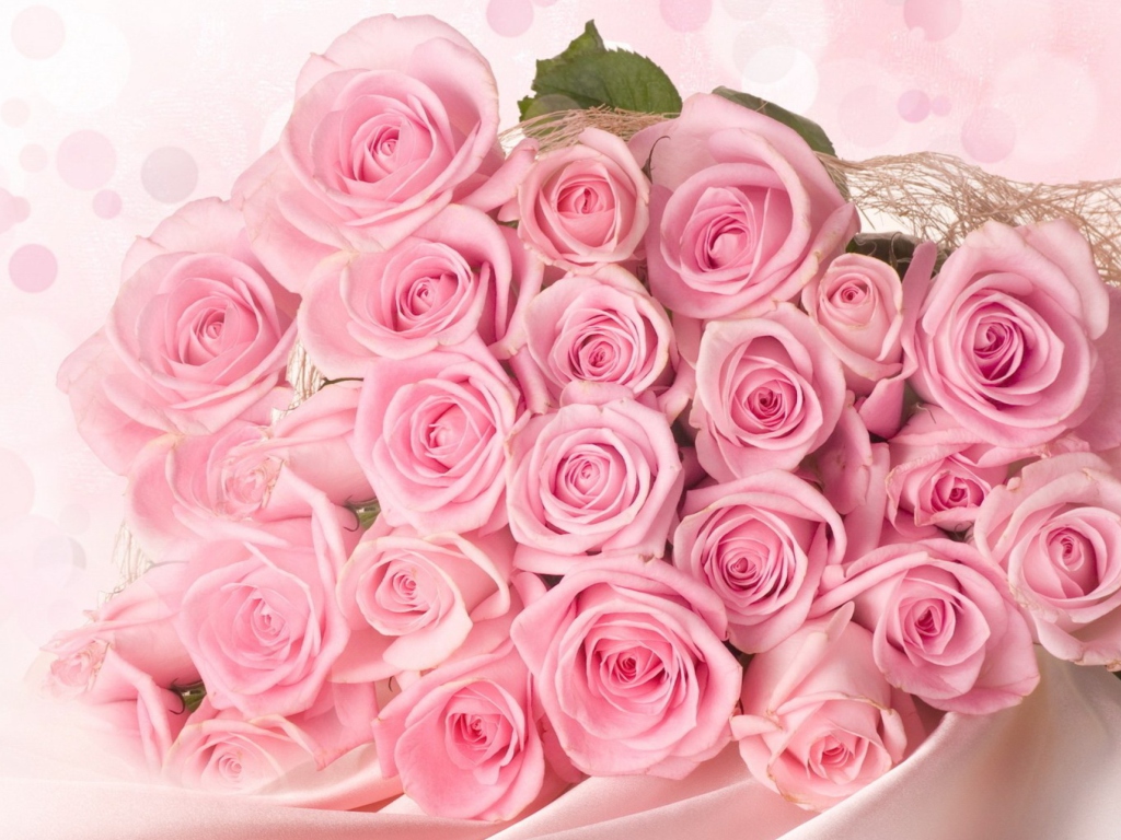 Обои Pink Roses 1024x768