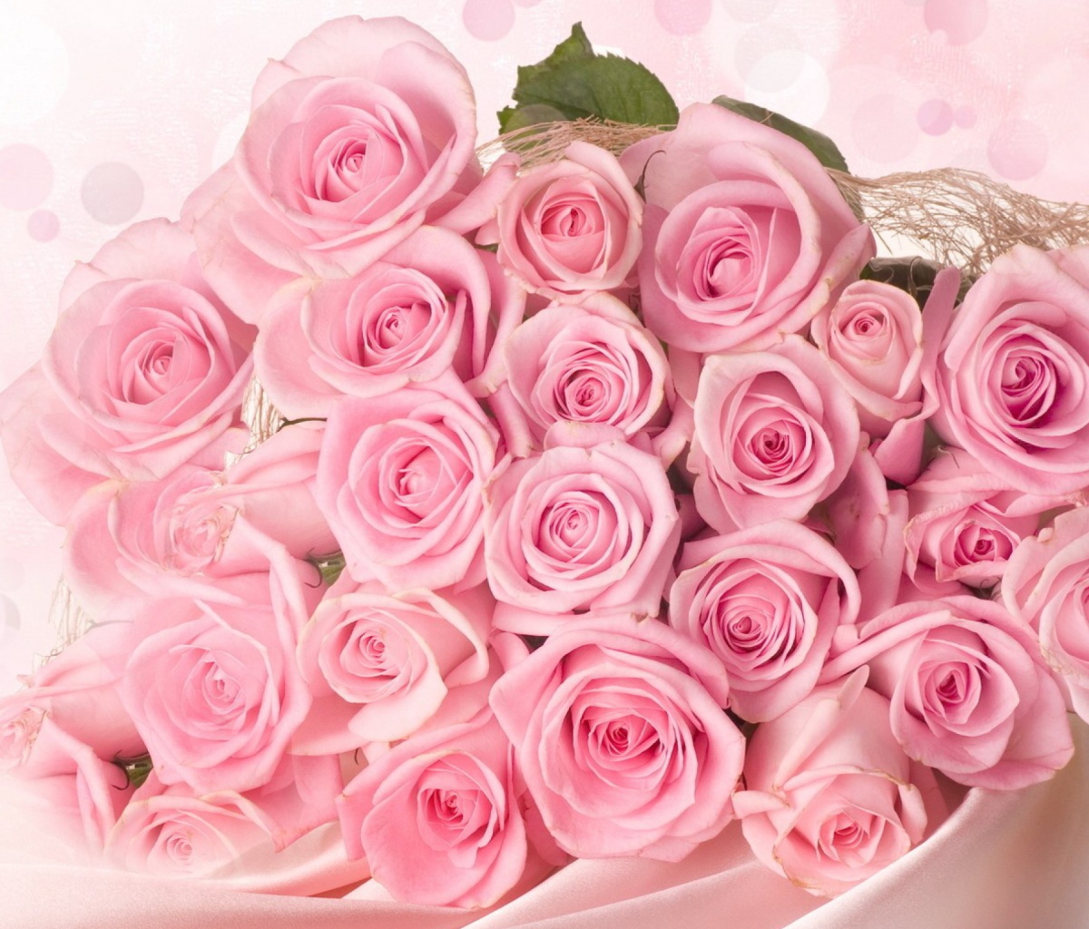 Fondo de pantalla Pink Roses 1200x1024