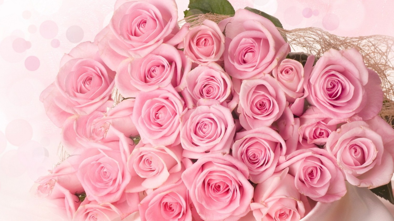Fondo de pantalla Pink Roses 1280x720