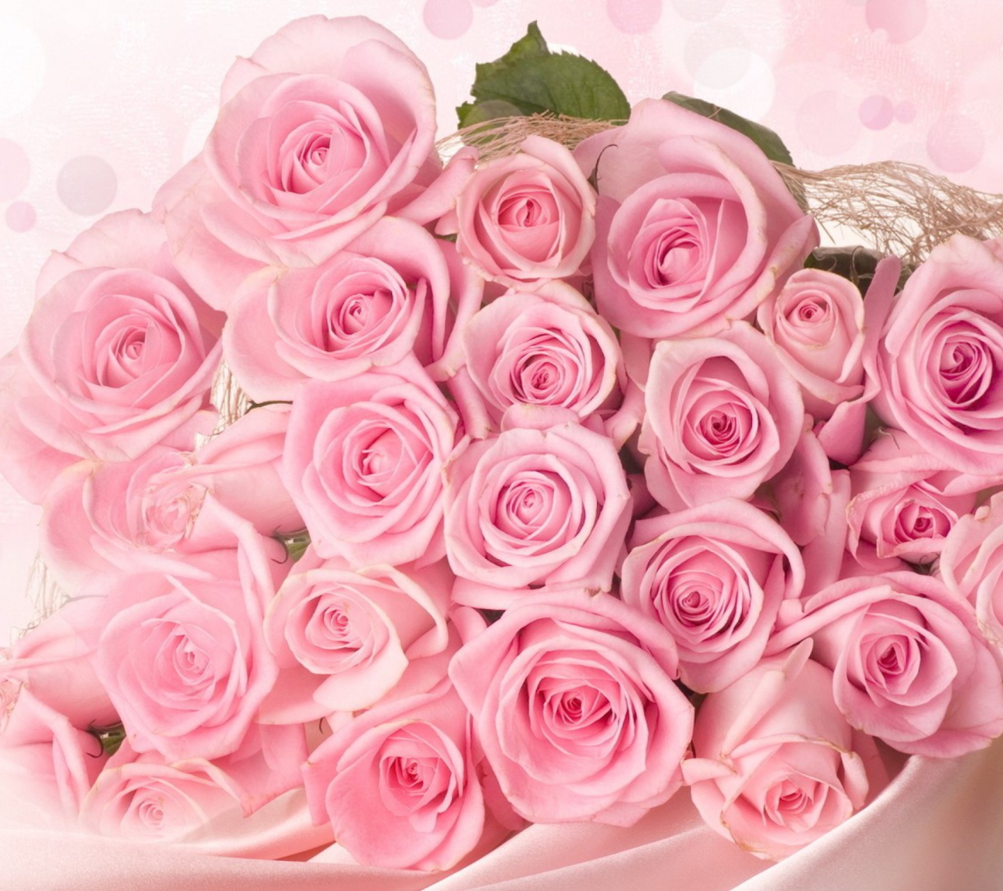 Обои Pink Roses 1440x1280