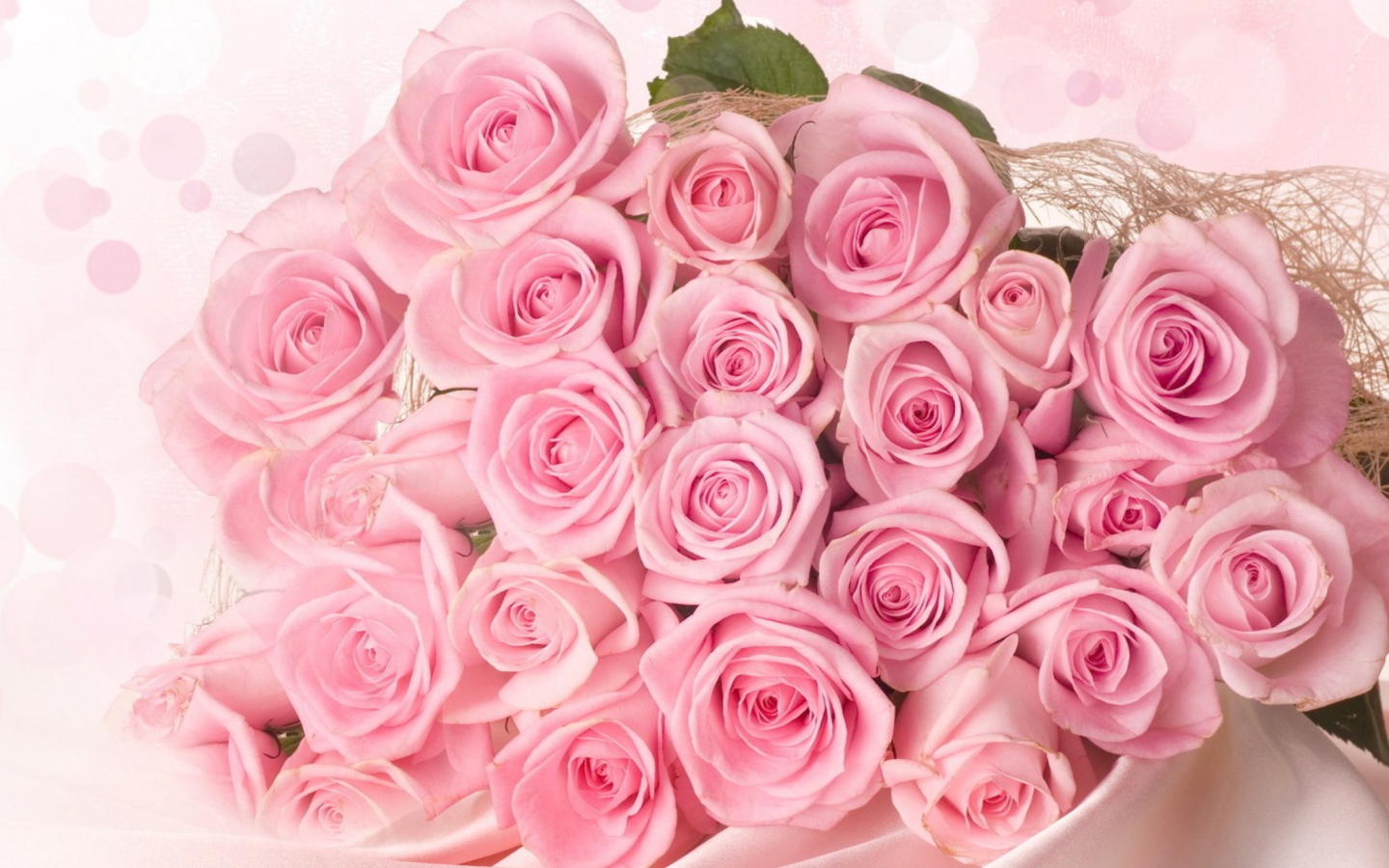 Обои Pink Roses 1440x900
