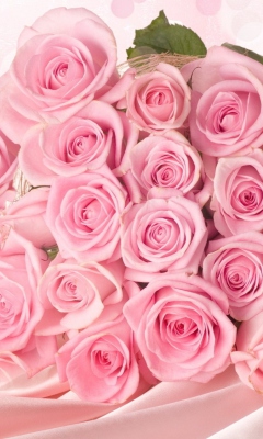 Fondo de pantalla Pink Roses 240x400