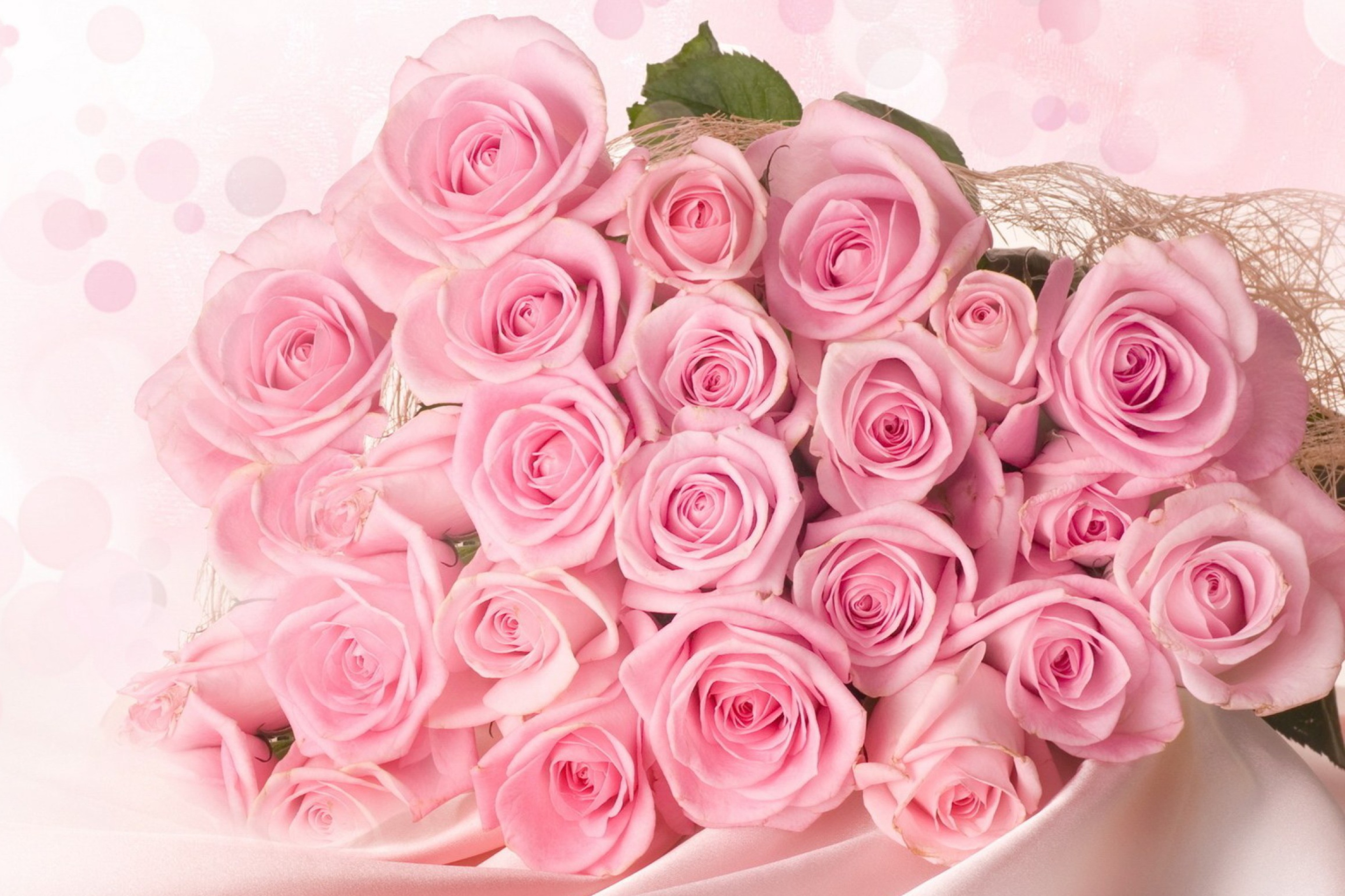 Sfondi Pink Roses 2880x1920