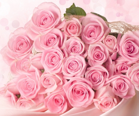 Sfondi Pink Roses 480x400