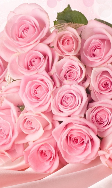 Sfondi Pink Roses 480x800