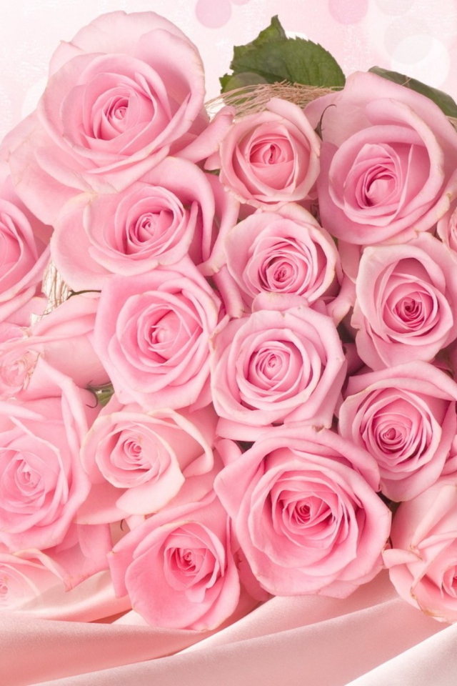 Обои Pink Roses 640x960
