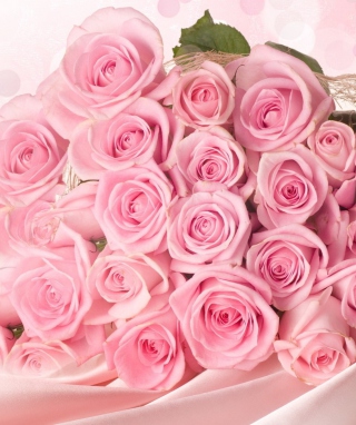 Pink Roses sfondi gratuiti per Nokia C2-00