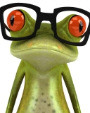 Das 3D Frog Glasses Wallpaper 128x160