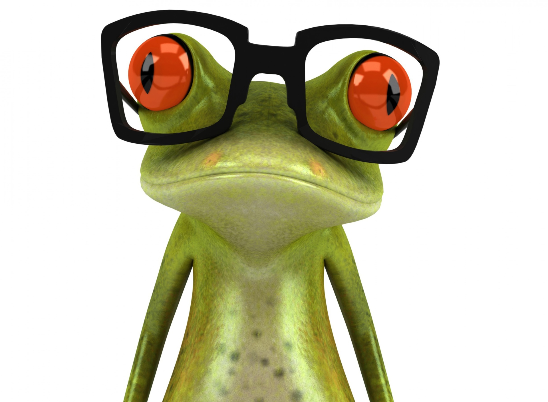 Fondo de pantalla 3D Frog Glasses 1920x1408