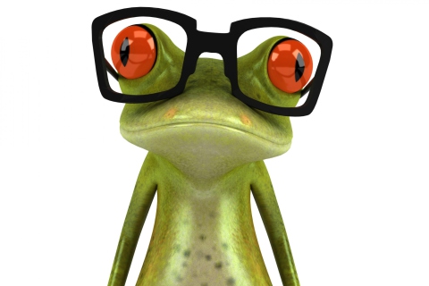 Sfondi 3D Frog Glasses 480x320