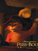 Puss In Boots screenshot #1 132x176