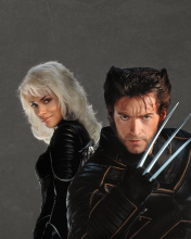 Wolverine - Marvel Comics wallpaper 176x220