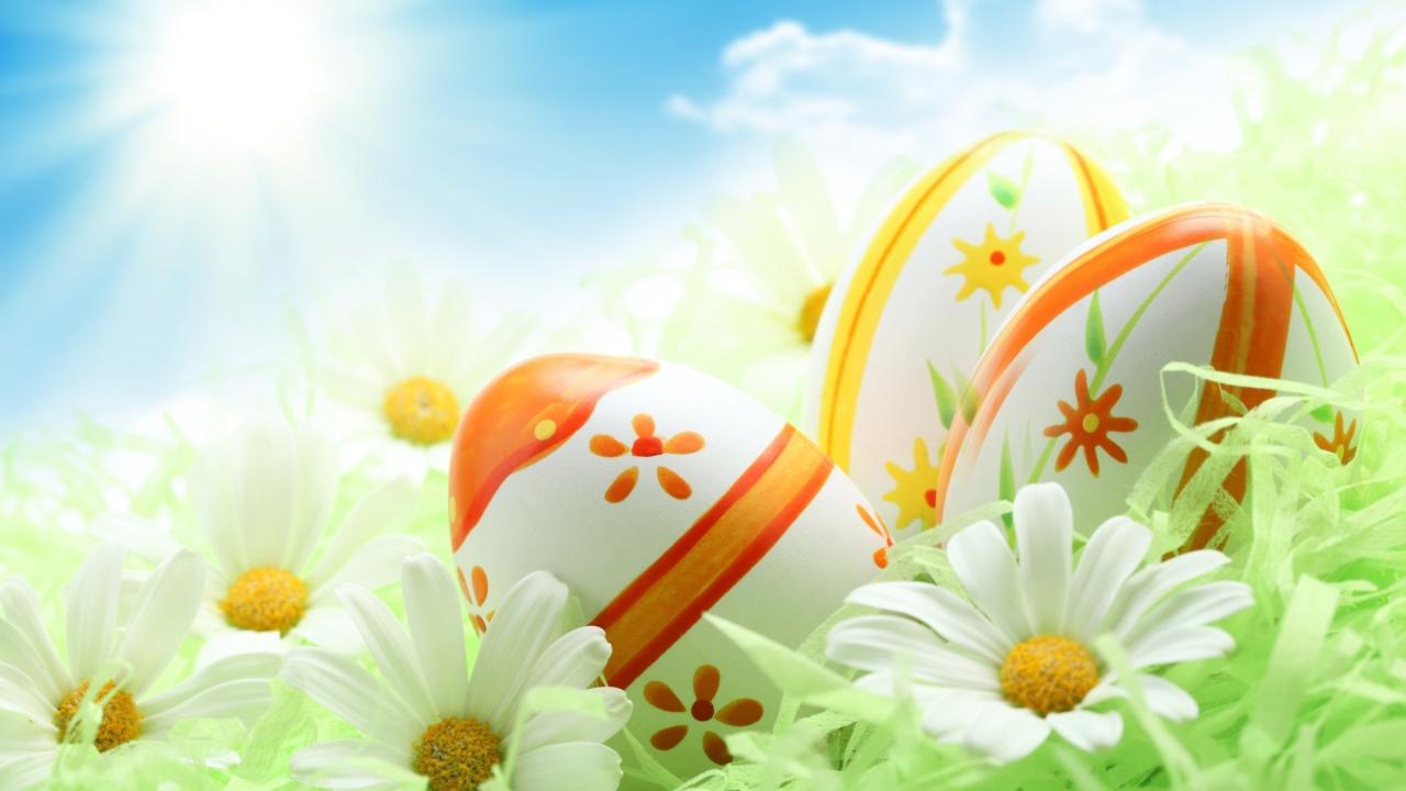 Fondo de pantalla Easter Eggs And Daisies 1280x720