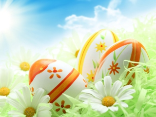 Das Easter Eggs And Daisies Wallpaper 320x240