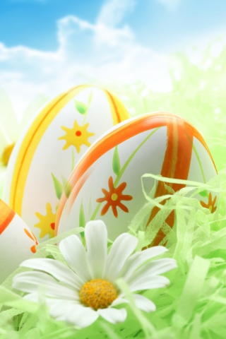 Easter Eggs And Daisies wallpaper 320x480