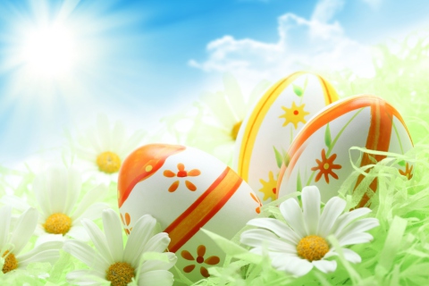Fondo de pantalla Easter Eggs And Daisies 480x320