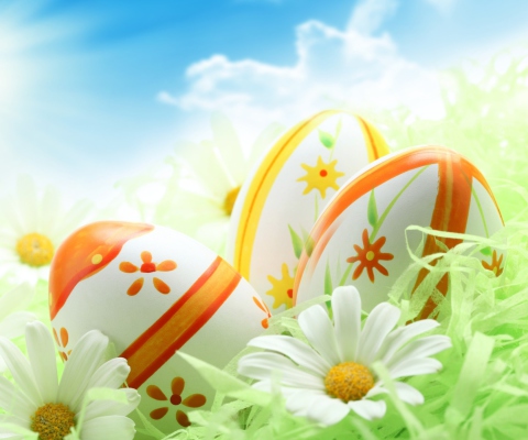 Das Easter Eggs And Daisies Wallpaper 480x400