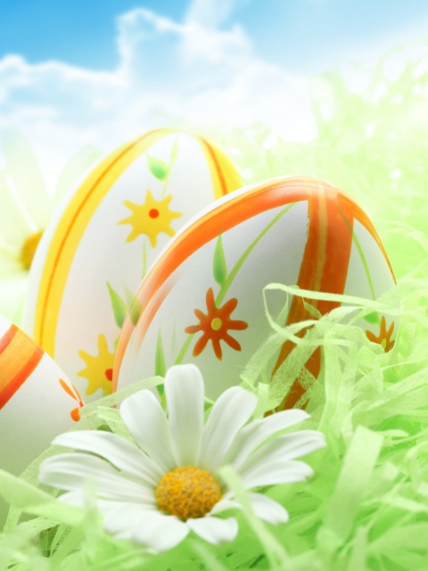 Das Easter Eggs And Daisies Wallpaper 480x640
