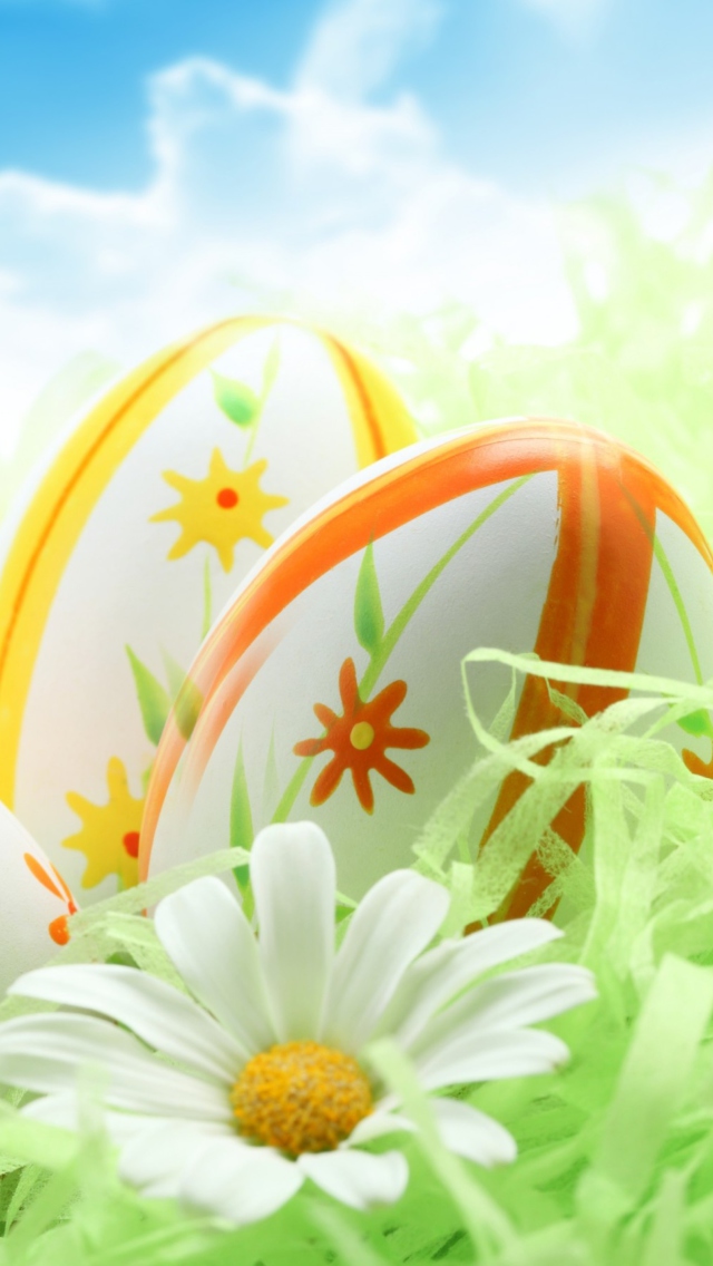 Fondo de pantalla Easter Eggs And Daisies 640x1136