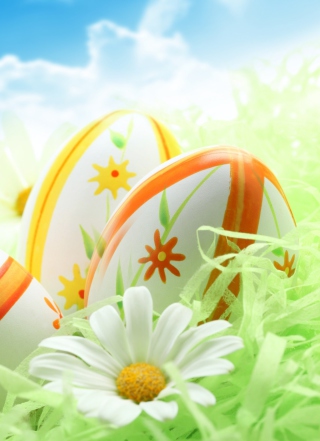 Easter Eggs And Daisies Picture for Nokia Asha 306