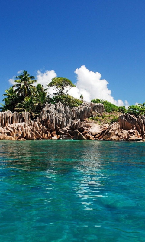 Island In The Indian Ocean wallpaper 480x800