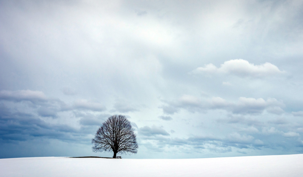 Sfondi Austria Winter Landscape 1024x600