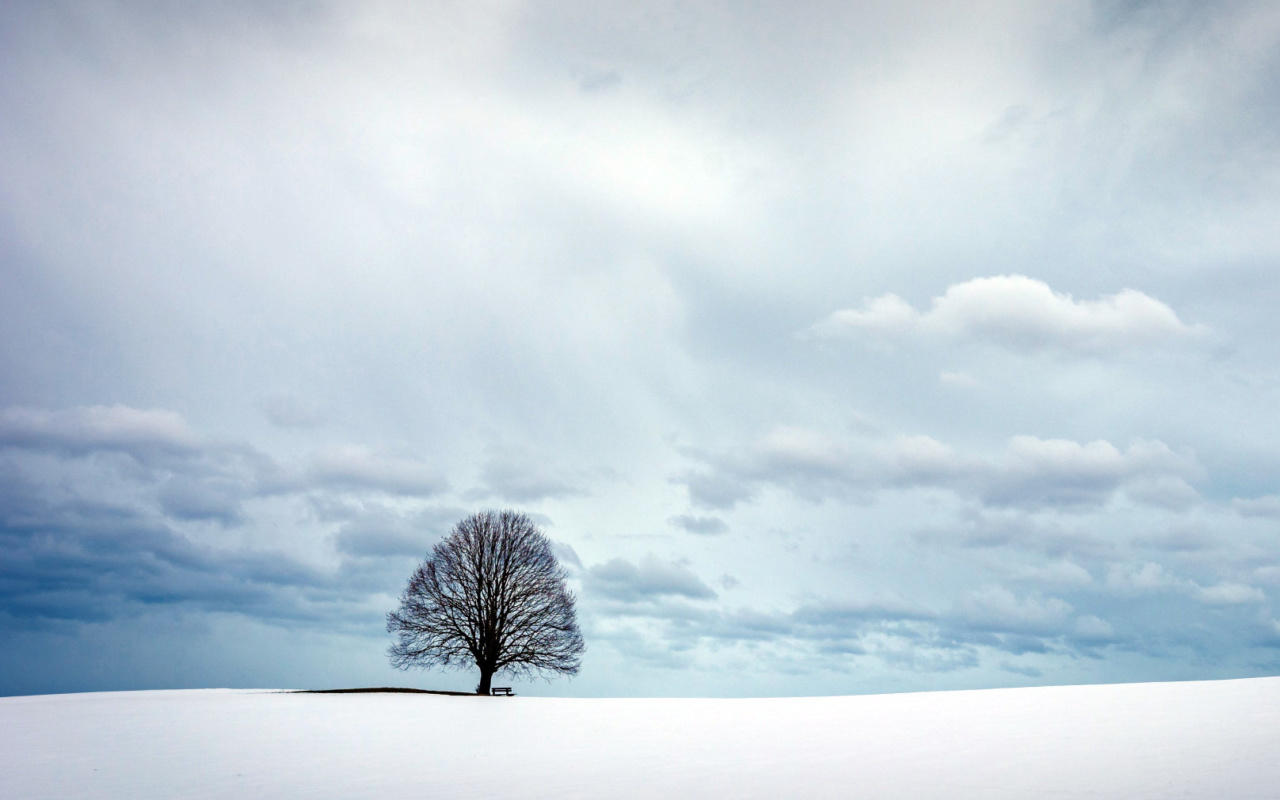 Das Austria Winter Landscape Wallpaper 1280x800