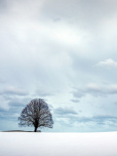 Fondo de pantalla Austria Winter Landscape 132x176