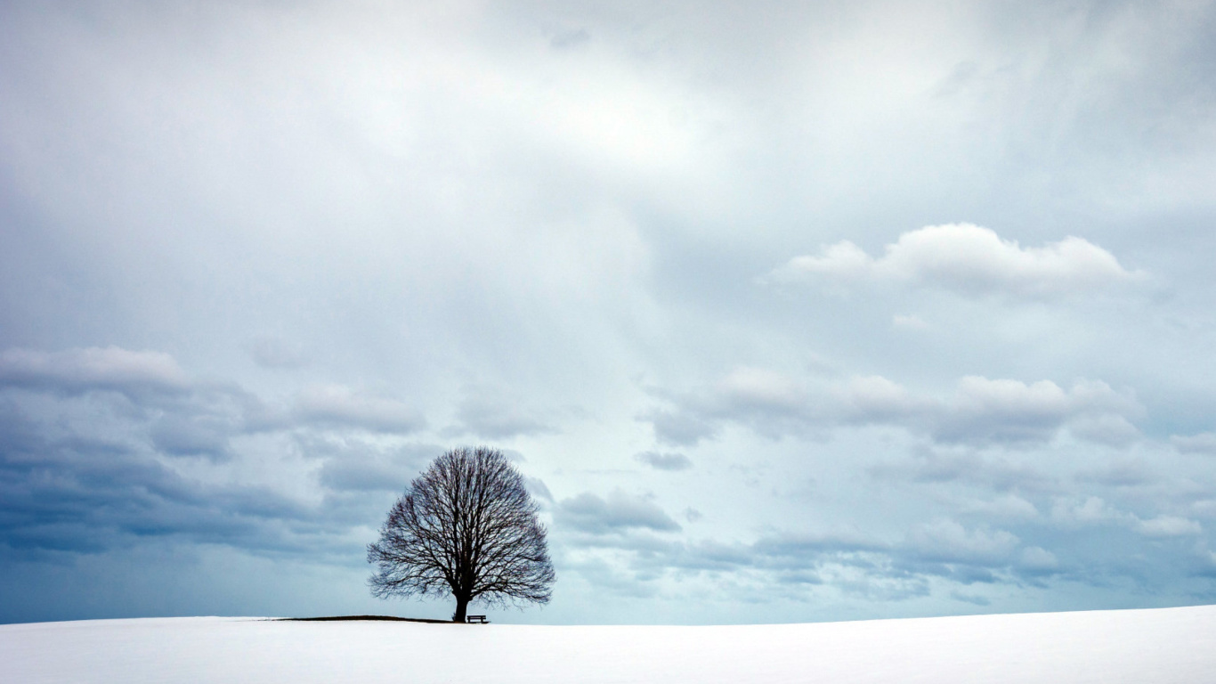 Fondo de pantalla Austria Winter Landscape 1366x768