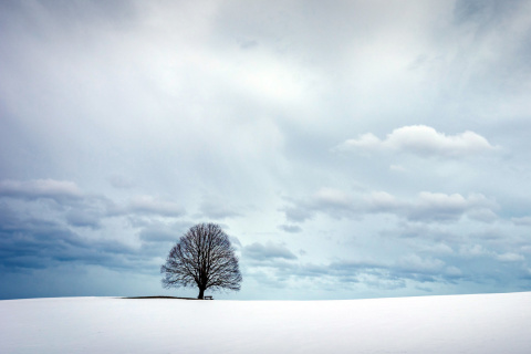 Austria Winter Landscape wallpaper 480x320