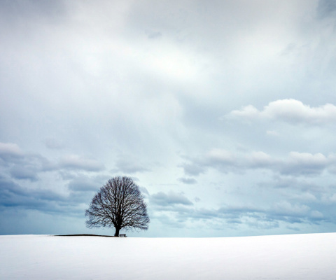 Austria Winter Landscape screenshot #1 480x400