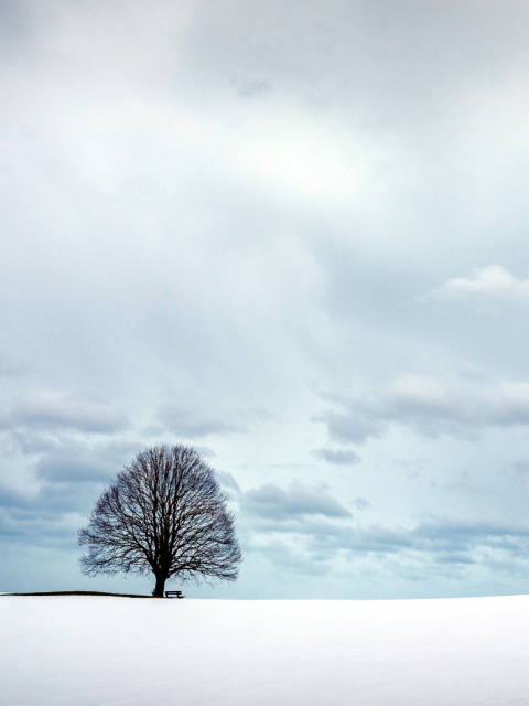 Fondo de pantalla Austria Winter Landscape 480x640