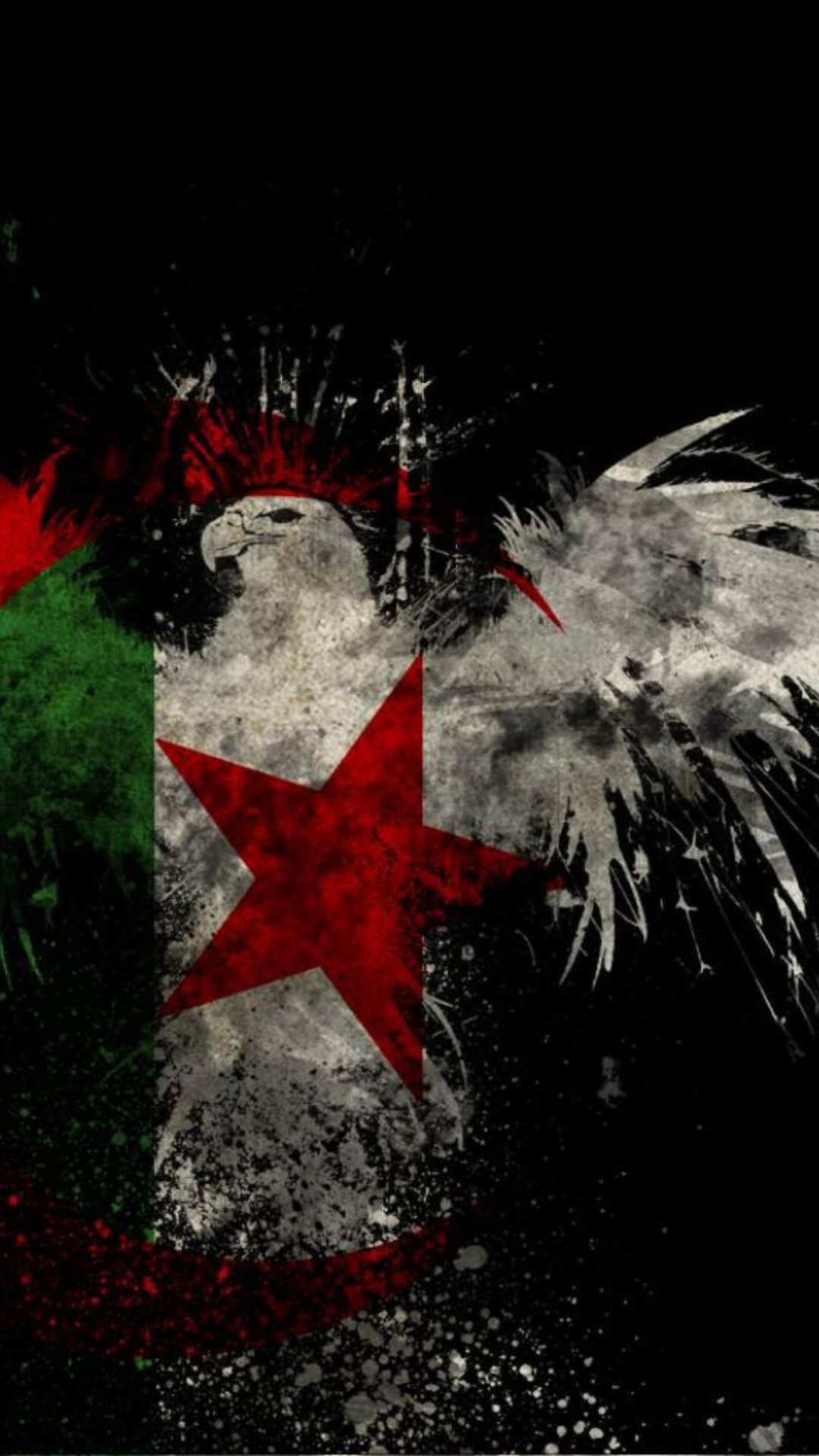 Обои Algerian Flag 1080x1920