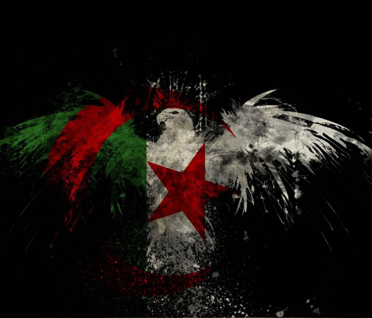 Fondo de pantalla Algerian Flag 1200x1024