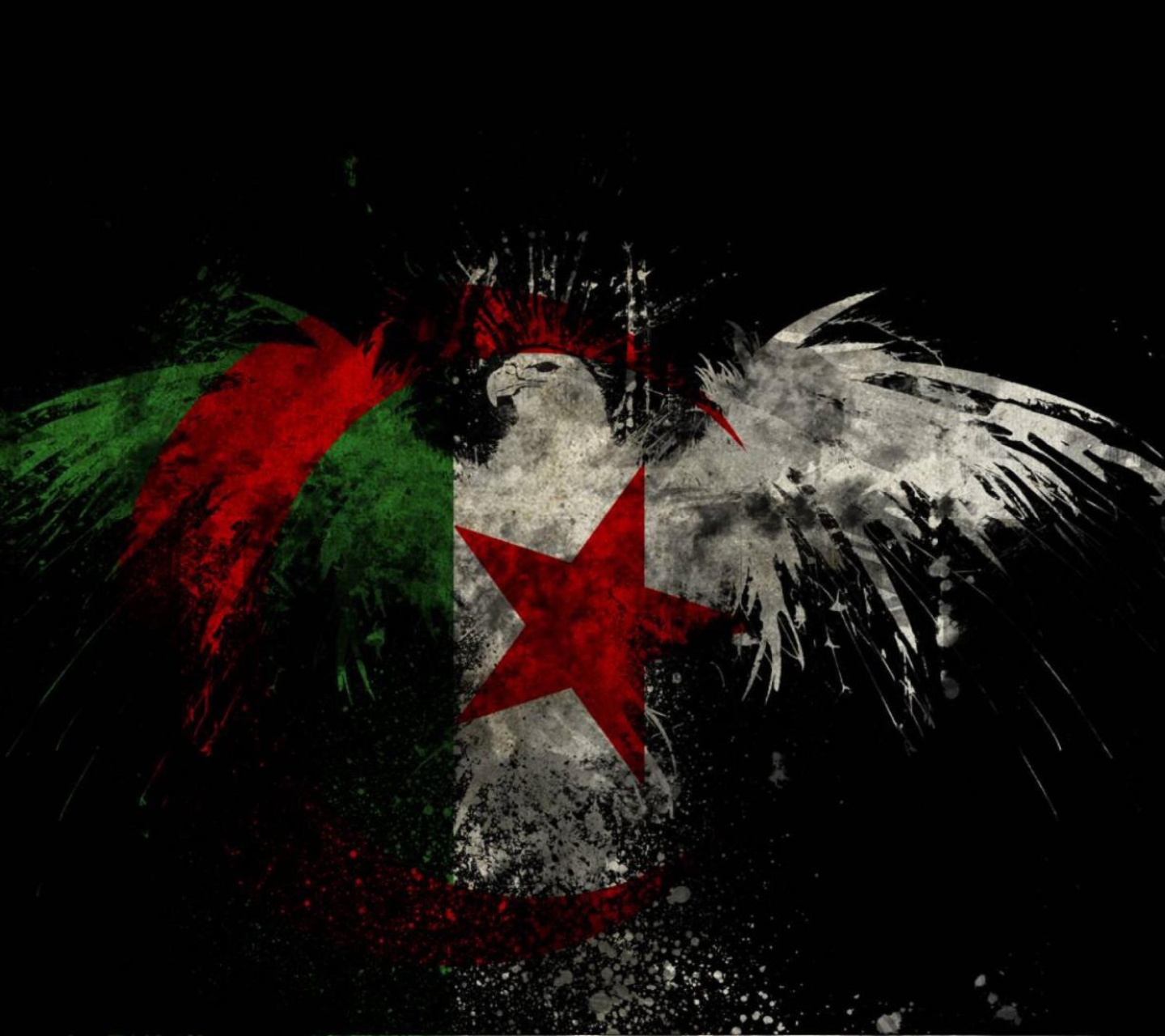 Fondo de pantalla Algerian Flag 1440x1280