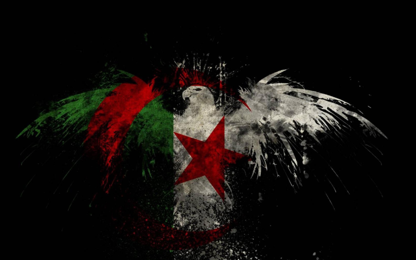 Screenshot №1 pro téma Algerian Flag 1440x900