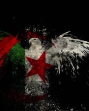 Screenshot №1 pro téma Algerian Flag 176x220