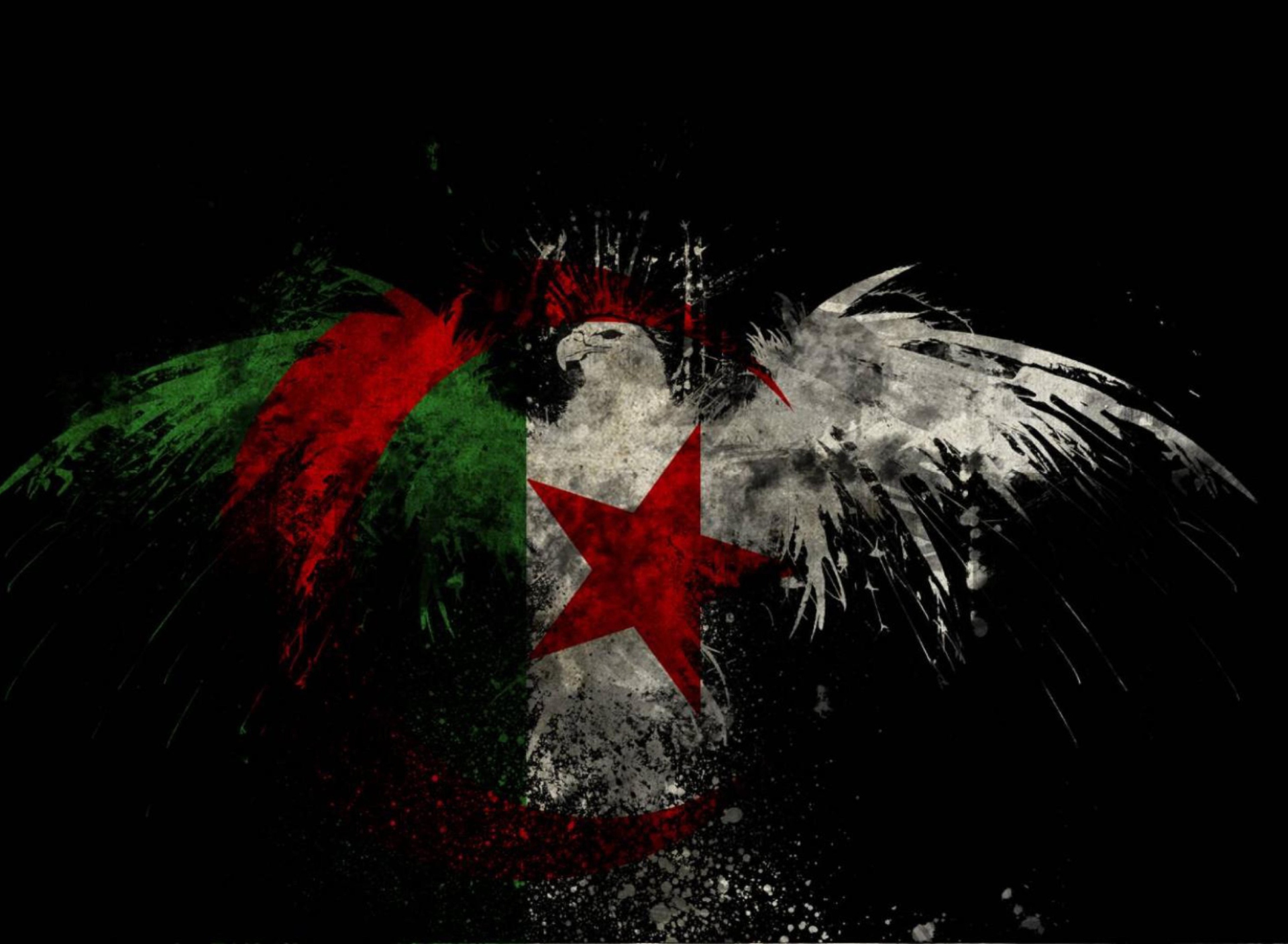 Fondo de pantalla Algerian Flag 1920x1408