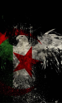 Обои Algerian Flag 240x400