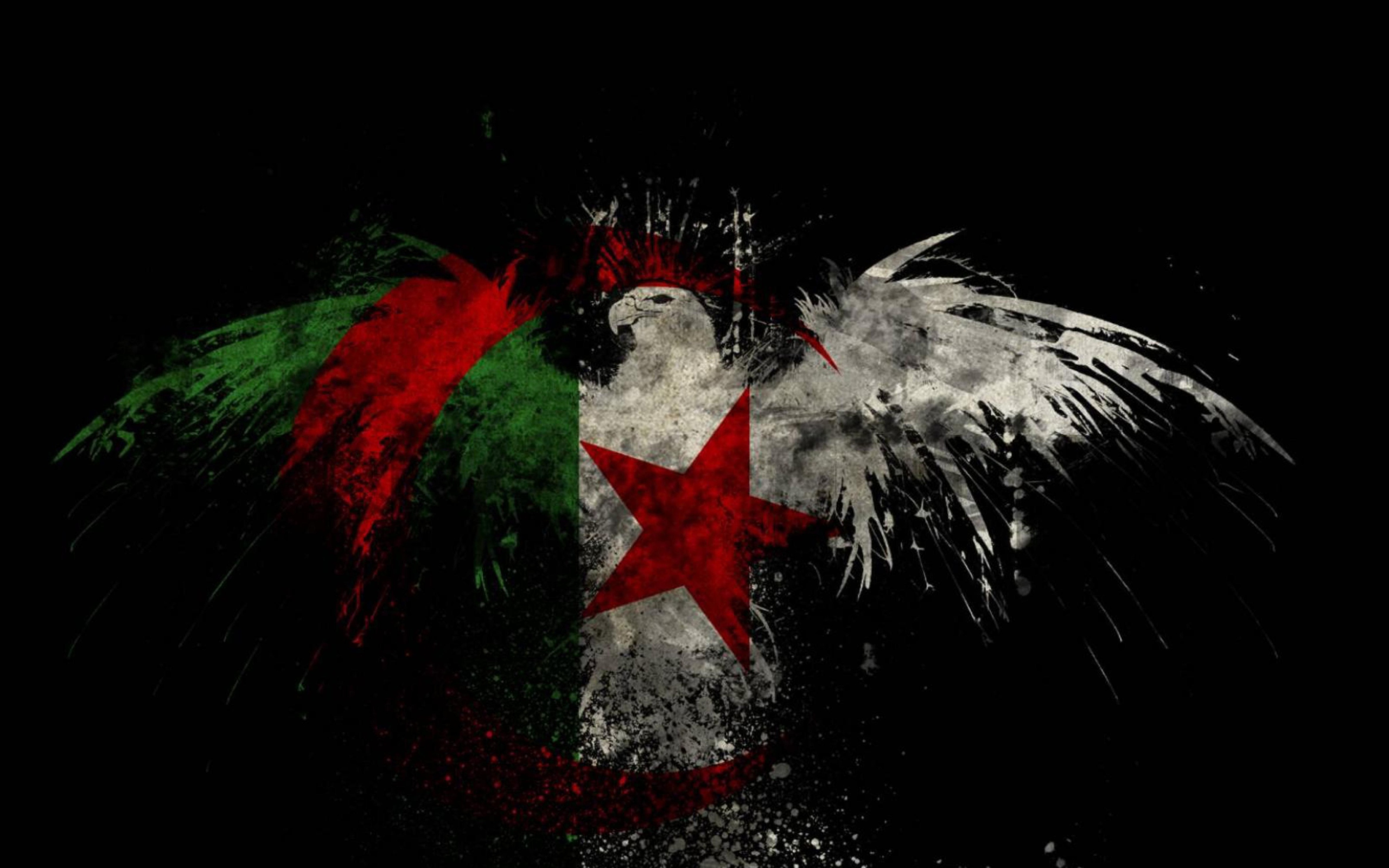 Fondo de pantalla Algerian Flag 2560x1600