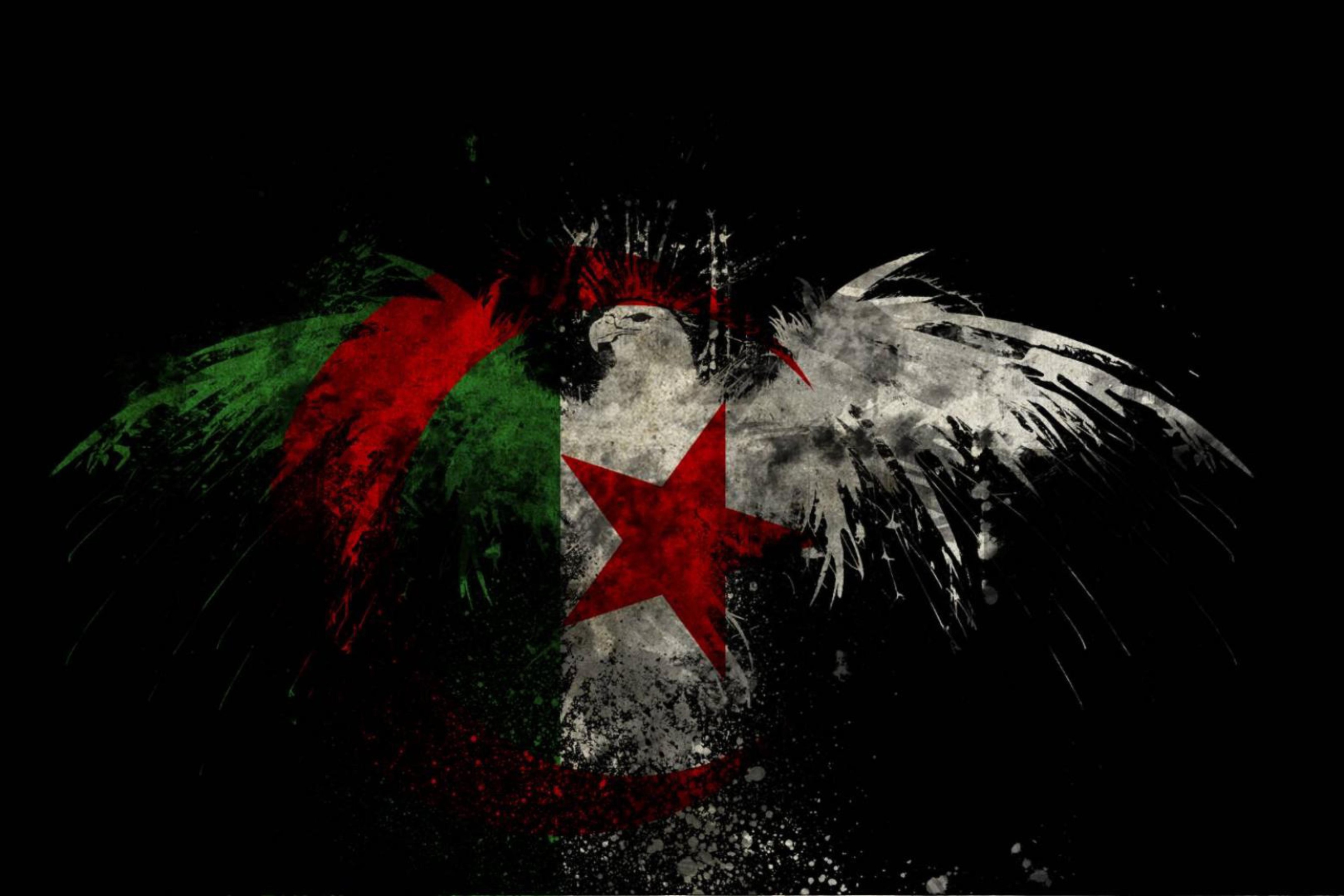 Das Algerian Flag Wallpaper 2880x1920