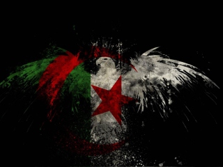Das Algerian Flag Wallpaper 320x240