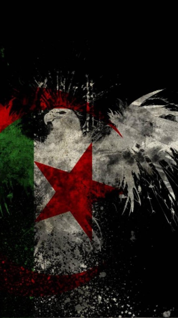 Fondo de pantalla Algerian Flag 360x640