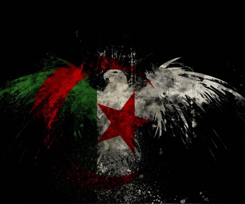 Algerian Flag wallpaper 480x400