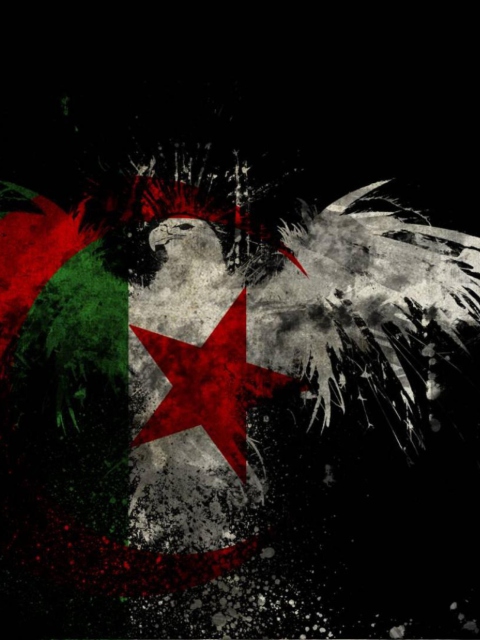 Algerian Flag wallpaper 480x640