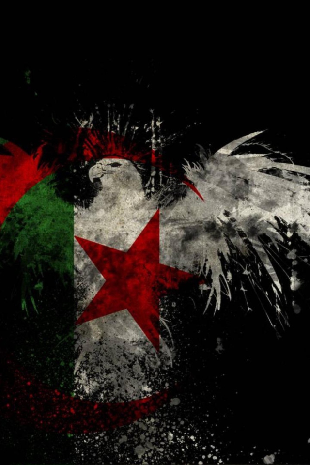 Algerian Flag wallpaper 640x960