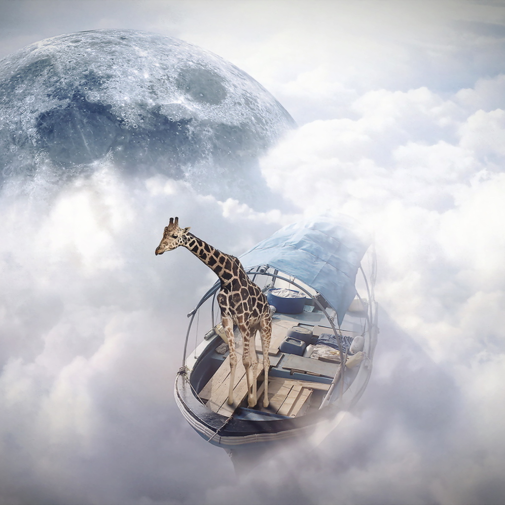 Giraffe Traveler screenshot #1 1024x1024