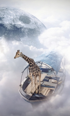 Fondo de pantalla Giraffe Traveler 240x400