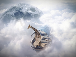 Giraffe Traveler screenshot #1 320x240